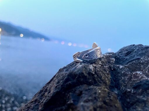 Anello acciuga - anello a forma di pesce - il mare è fragile