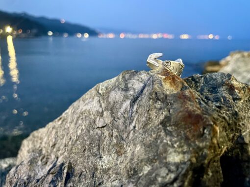 Anello acciuga - anello a forma di pesce - il mare è fragile - immagine 5
